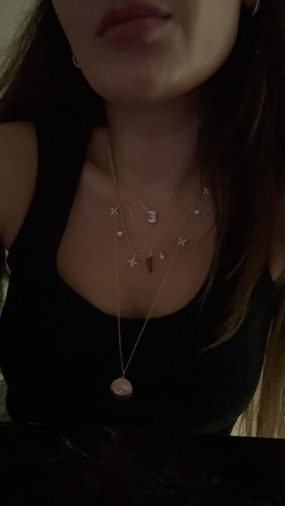 KIRMIZI BİBER KOLYE