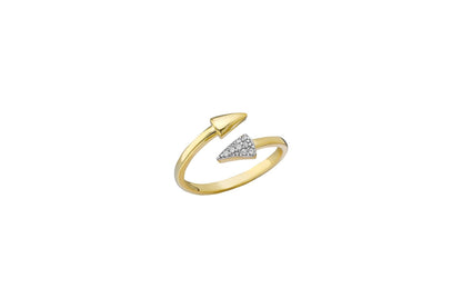 Double Arrow Ring